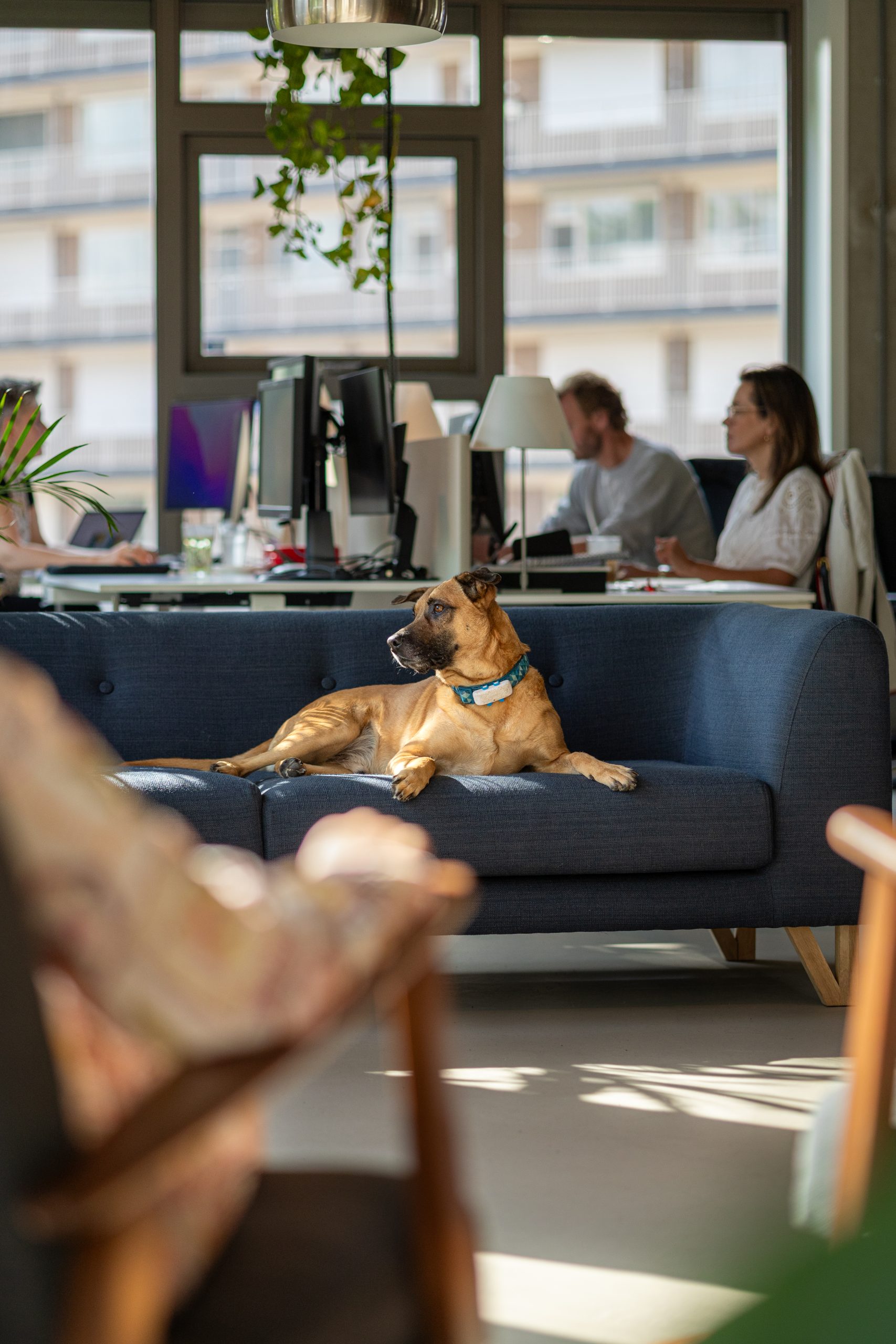 2025-09-04_Coehoorn_Boris_1_HQ